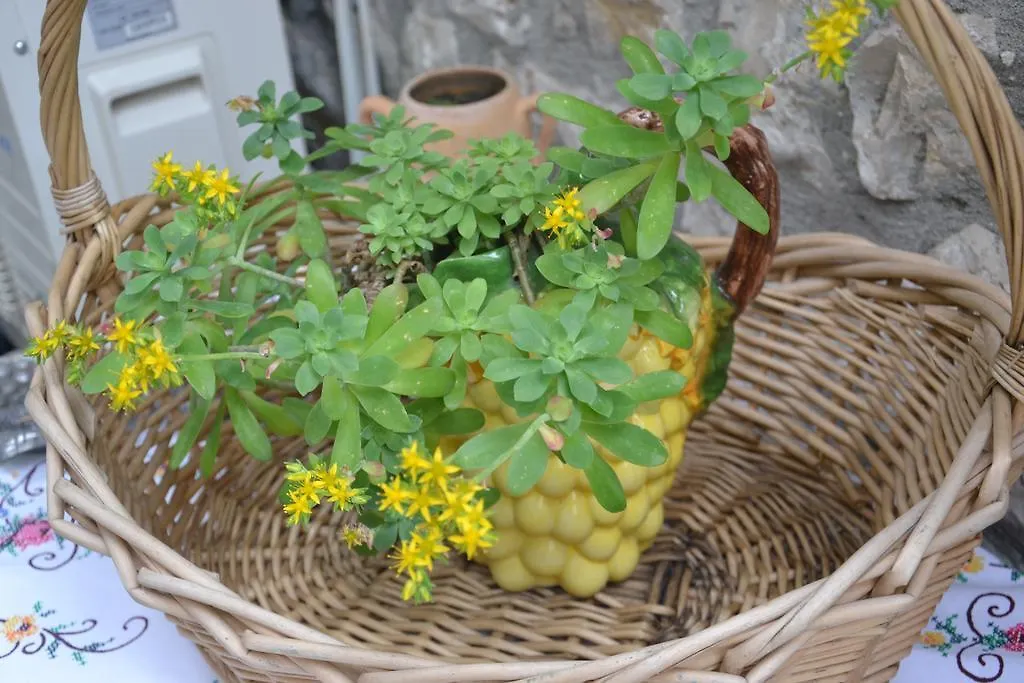 Bujtina Kodiket Guesthouse Berat Guest house