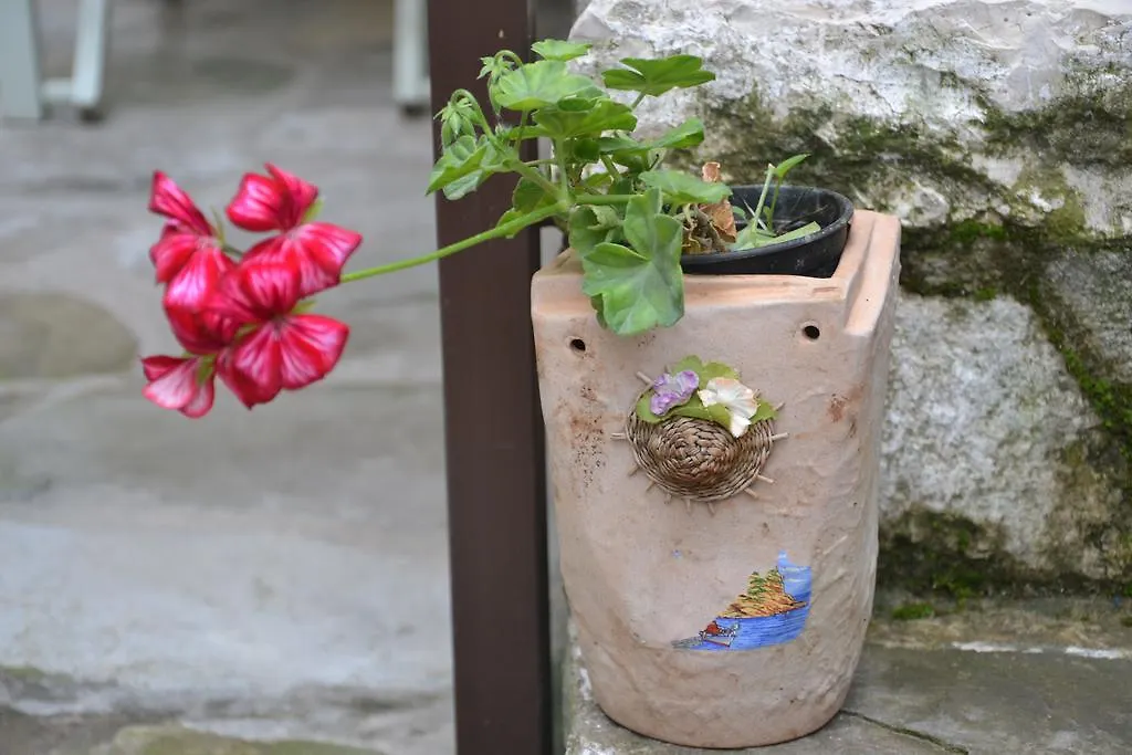 Bujtina Kodiket Guesthouse Berat
